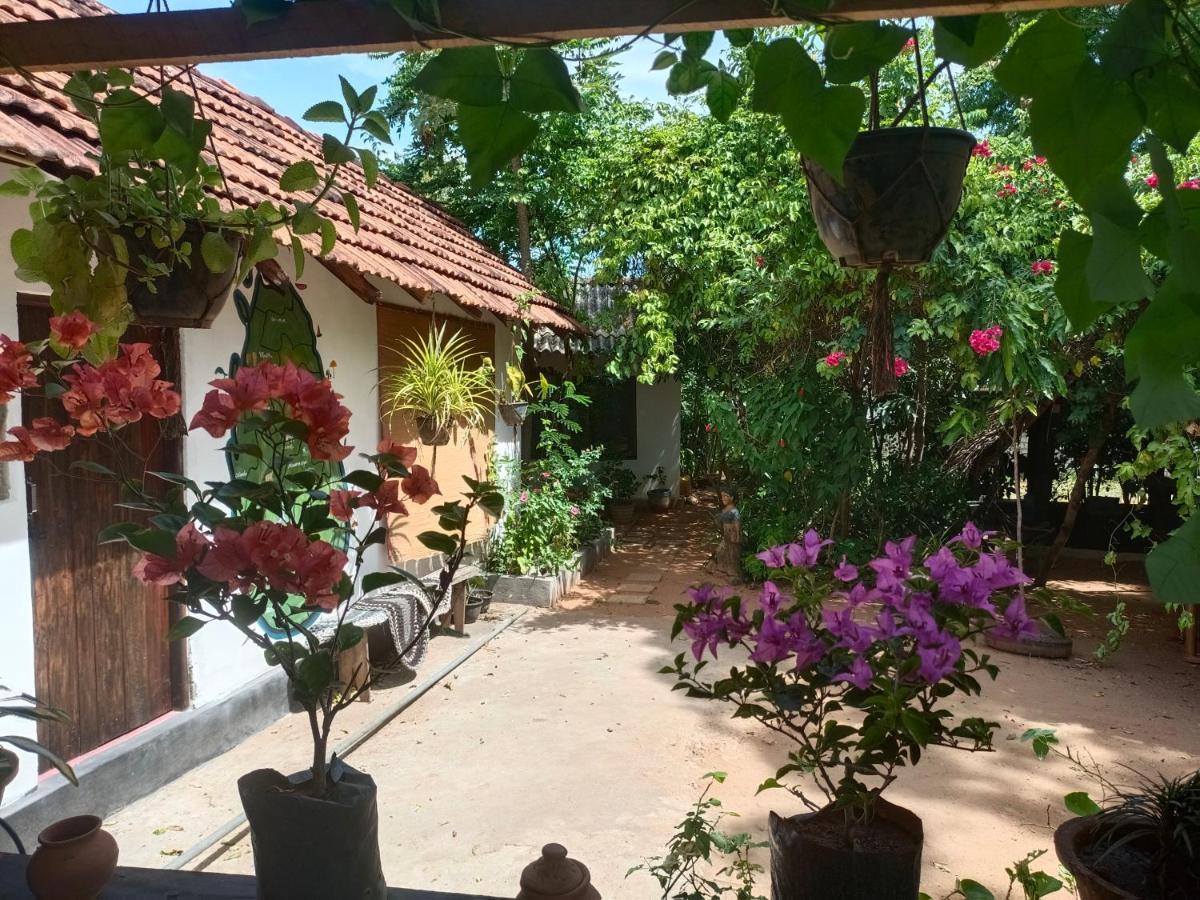 Mamisa Cafe, Home Stay 하바라나 외부 사진